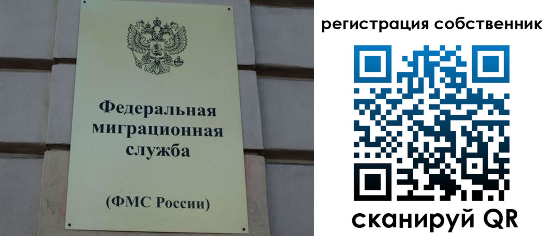 прописка гарантия в Высоковске